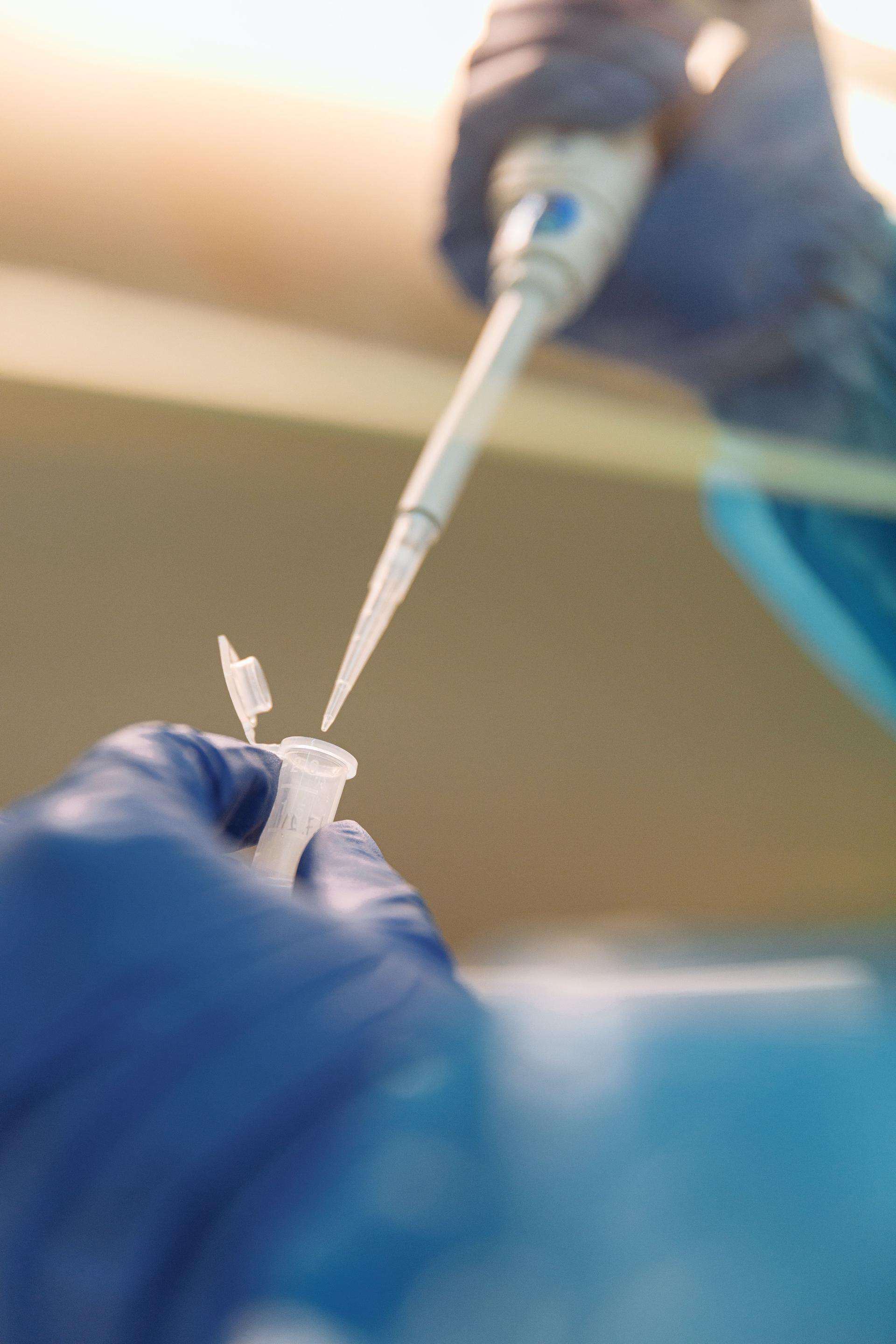 A gloved hand pipetting into a sample tube
